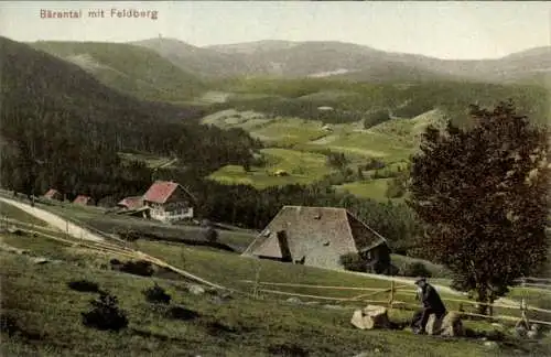 Ak Bärental Feldberg im Schwarzwald, Panorama