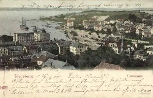 Ak Flensburg in Schleswig Holstein, Stadtpanorama