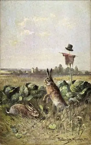 Künstler Ak Müller, jun., Hasen auf einem Feld mit Salatköpfen, Vogelscheuche