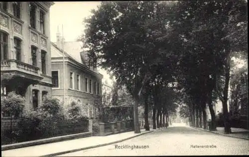 Ak Recklinghausen im Ruhrgebiet, Halterner Straße