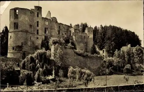 Ak Beaufort Befort Luxemburg, Blick auf das Schloss