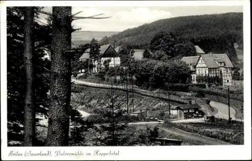 Ak Brilon Sauerland, Pulvermühle im Hoppecketal, Wald