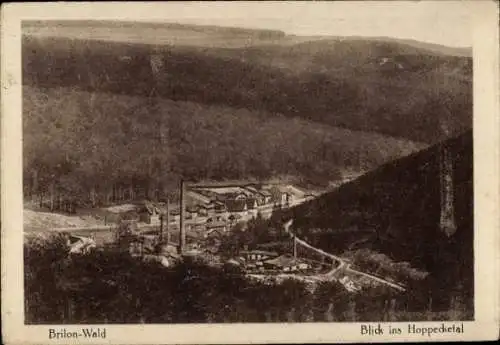 Ak Wald Brilon im Sauerland, Hoppecketal, Panorama