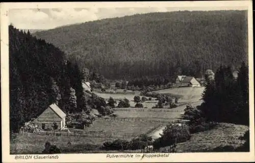 Ak Brilon im Hochsauerlandkreis, Pulvermühle im Hoppecketal, Waldlandschaft