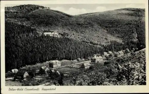 Ak Wald Brilon im Sauerland, Hoppecketal, Panorama