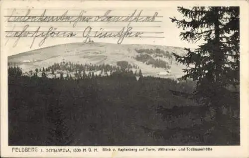 Ak Feldberg im Schwarzwald, Blick vom Kapfenberg, Turm, Wilhelmerhütte, Todtmauerhütte