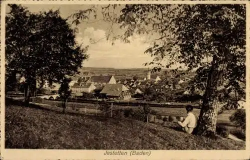 Ak Jestetten in Baden, Panorama