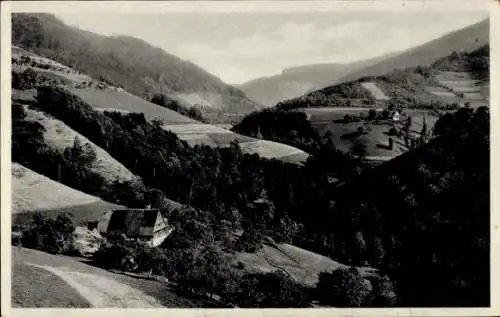 Ak Wildgutach Simonswald im Schwarzwald, Panorama