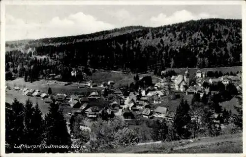 Ak Todtmoos im Schwarzwald, Panorama