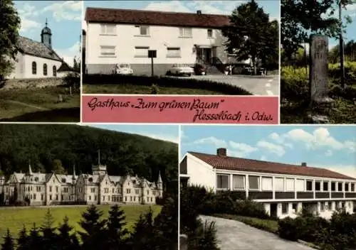 Ak Hesselbach Oberzent im Odenwald, Gasthaus Pension Zum grünen Baum, Teilansichten, Kirche