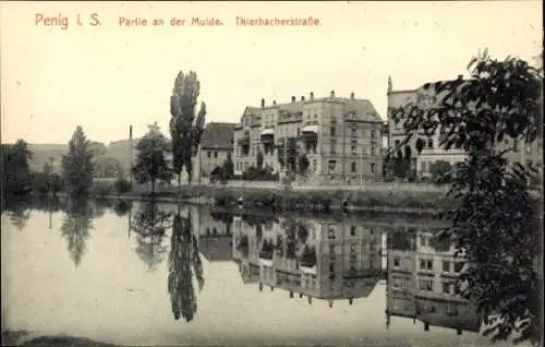 Ak Penig in Sachsen, Teilansicht, Mulde, Thierbacherstraße