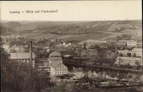 Ak Fischendorf Leisnig in Sachsen, Gesamtansicht