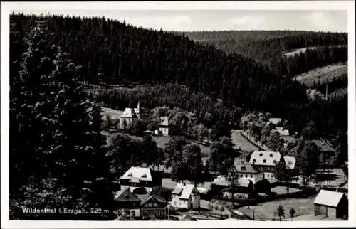 Ak Wildenthal Eibenstock im Erzgebirge, Teilansicht