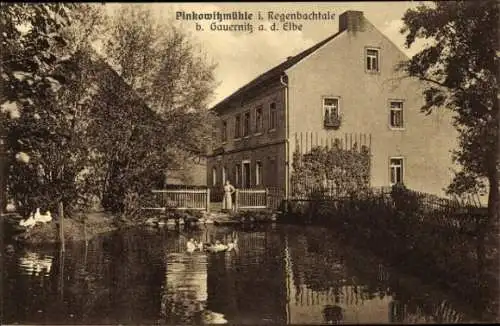 Ak Gauernitz Klipphausen in Sachsen, Pinkowitzmühle im Regenbachtal