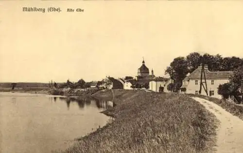 Ak Mühlberg an der Elbe, Alte Elbe, Uferlandschaft