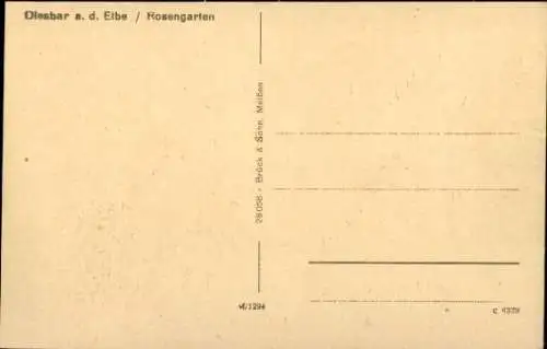 Ak Diesbar Seußlitz Nünchritz an der Elbe, Rosengarten