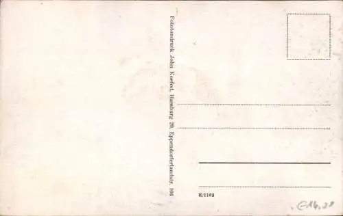 Ak Circus Kapitän Alfred Schneider, Löwen, Dompteur