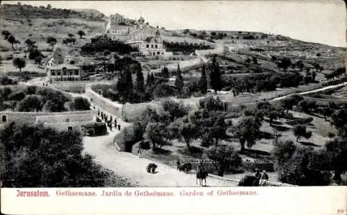 Ak Gethsemane Jerusalem Israel, Jardin, Gesamtansicht