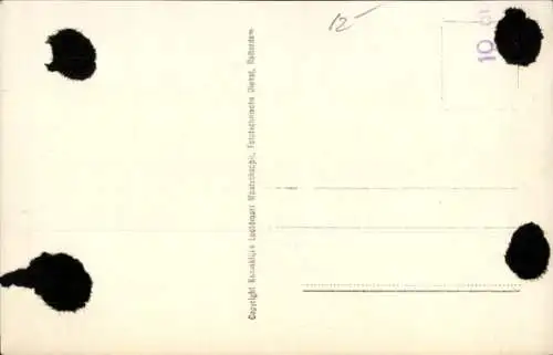 Ak Haarlemmermeer Nordholland Niederlande, Schiphol, Flughafen Amsterdam, Hauptgebäude