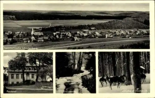 Ak Scharfenberg Brilon im Hochsauerlandkreis, Ortspanorama, Pastorat, Steinbecke, Hochwald, Hirsche