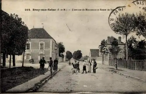 Ak Bray sur Seine Seine et Marne, Avenue de Mousseaux