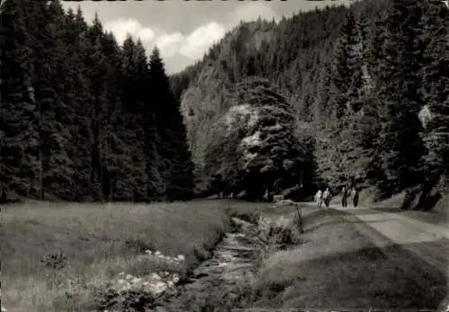 Ak Oberhof im Thüringer Wald, Räuberstein, Silbergraben