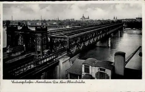 Ak Ludwigshafen am Rhein, neue Rheinbrücke