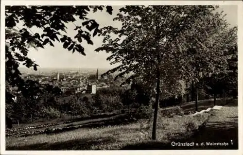 Ak Grünstadt an der Weinstraße Pfalz, Panorama, Teilansicht