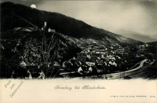 Mondschein Ak Hornberg im Schwarzwald, Teilansicht, Burg, Tal