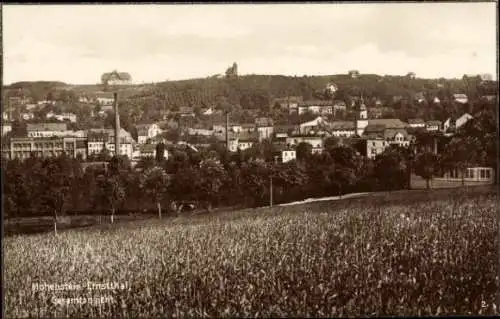 Ak Hohenstein Ernstthal in Sachsen, Gesamtansicht