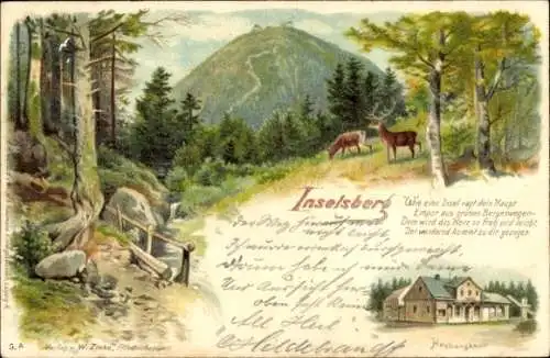 Litho Brotterode in Thüringen, Inselsberg, Hirsche, Heuberghaus