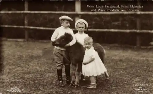 Ak Prinz Louis Ferdinand von Preußen, Prinz Hubertus, Prinz Friedrich, Pony