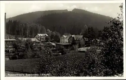 Ak Buschmühle Schmiedeberg Dippoldiswalde im Osterzgebirge, Teilansicht