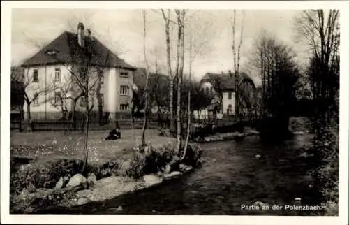 Ak Polenz Neustadt in Sachsen, Partie am Bach mit Birken