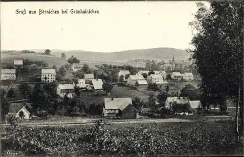 Ak Börnichen im Erzgebirge, Teilansichten