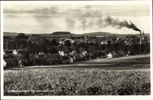 Ak Großschweidnitz, Blick auf die Landesanstalt