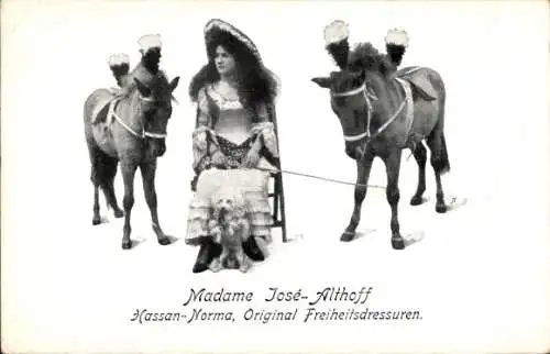 Ak Madame Jose-Althoff, Hassan-Norma, Freiheitsdressuren, Ponys, Pudel