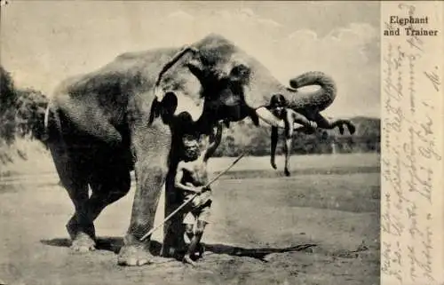 Ak Ceylon Sri Lanka, Elefant mit Mahut, Mann liegt auf einem Stoßzahn