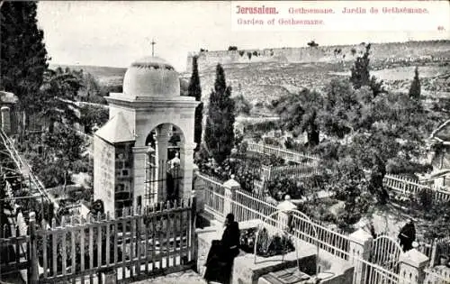 Ak Jerusalem Israel, Gethsemane, Gartenanlagen