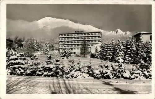 Ak Nový Smokovec Uj Tátrafüred Neuschmecks Vysoké Tatry Hohe Tatra Slowakei, Hotel Palace