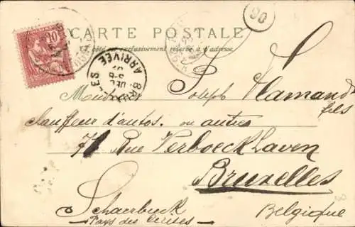 Litho Schweine in eleganter Kleidung, Frack, Monokel