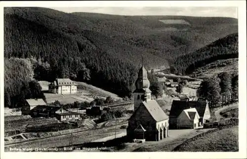 Ak Brilon im Sauerland, Partie mit Kirche, Blick ins Hoppecketal