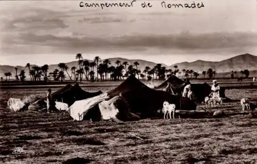 Ak Maghreb, Nomaden, Zeltlager, Hunde