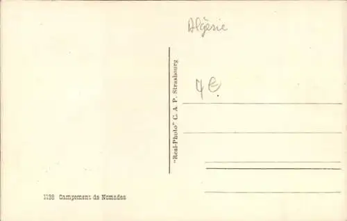 Ak Maghreb, Nomaden, Zeltlager, Hunde