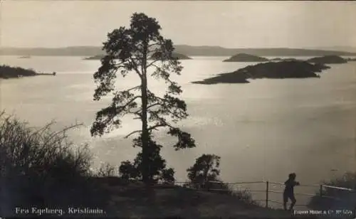 Ak Kristiania Christiania Oslo Norwegen, Fra Egeberg, Panorama