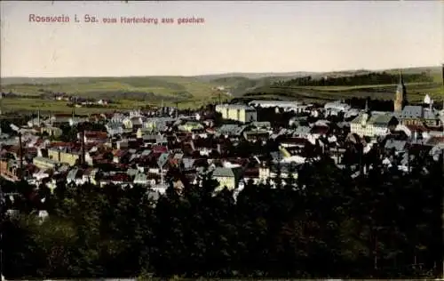 Ak Roßwein in Sachsen, Blick vom Hartenberg