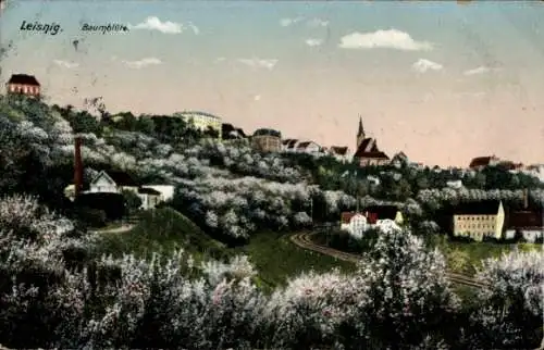 Ak Leisnig in Sachsen, Totalansicht, Baumblüte