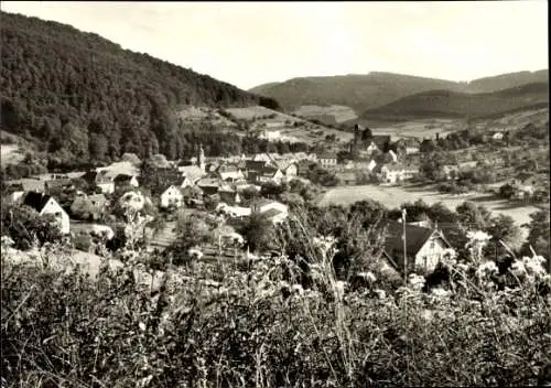 Ak Heiligkreuzsteinach am Neckar, Panorama