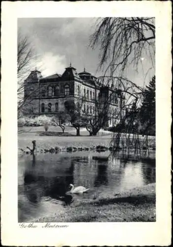 Ak Gotha in Thüringen, Museum