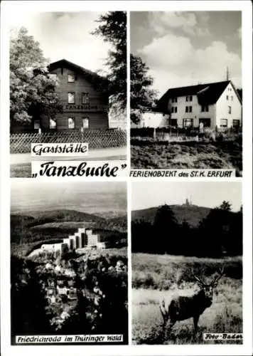 Ak Friedrichroda im Thüringer Wald, Gaststätte Tanzbuche, Panorama vom Ort, Hirsch, Ferienheim